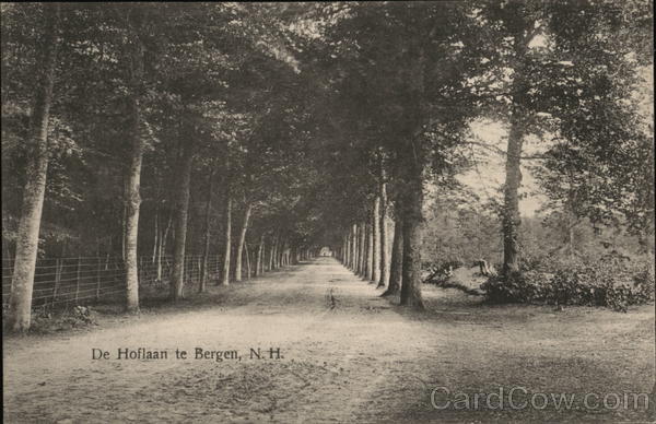 De Hoflaan te North Holland Bergen Netherlands
