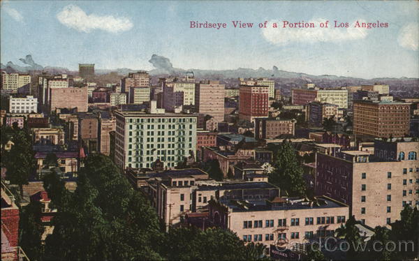 Bird's Eye View of a Portion of the City Los Angeles California