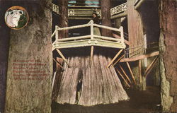 A Corner of the Forestry Building, Official Post Card A Corner of the Forestry Building, Official Post Card