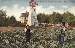Non-Irrigated Farm in Suburbs Spokane, WA Postcard Postcard Postcard