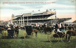 Grand Stand and Paddock, Minnesota State Fair St. Paul, MN Postcard Postcard Postcard