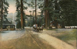 "Camp Ahwahnee", "Yosemite Falls" Postcard