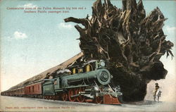 Comparative sizes of the Fallen Monarch big tree and a Southern Pacific passenger train. Comparative sizes of the Fallen Monarch big tree and a Southern Pacific passenger train.