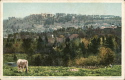 Bird's Eye View of Town and Hotel Aspinwall Bird's Eye View of Town and Hotel Aspinwall