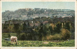 Bird's Eye View of Town and Hotel Aspinwall Lenox, MA Postcard Postcard Postcard