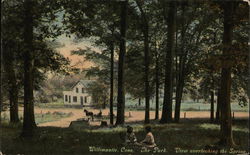 The Park, View Overlooking the Spring Willimantic, CT Postcard Postcard Postcard