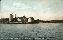 U. S. Fish Hatchery Postcard