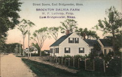 Street Scene Postcard