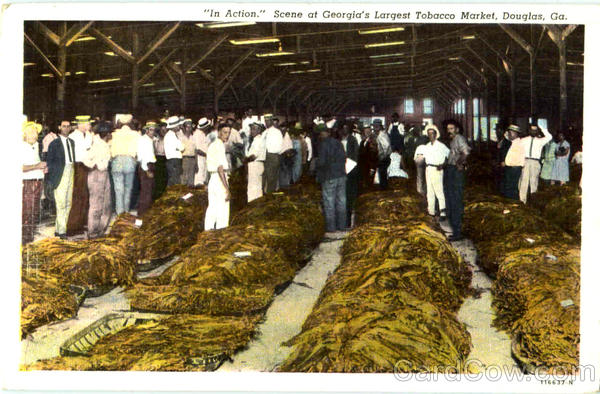 Scene At Georgia's Largest Tobacco Market Douglas