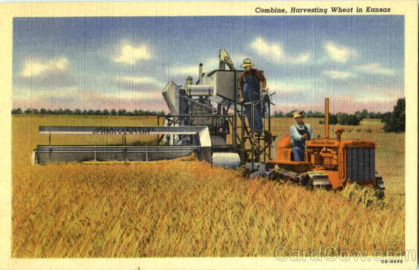 Combine Harvesting Wheat In Kansas Scenic