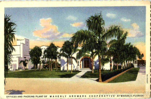 Offices And Packing Plant Of Waverly Growers Cooperative Florida