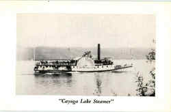 Cayuga Lake Steamer Postcard