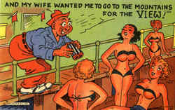 Wife wanted me to go to the mountains for the view! Postcard