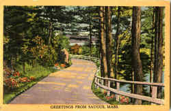 Greetings From Saugus Massachusetts Postcard Postcard