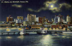 Skyline By Moonlight Postcard