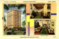 Hotel Alcazar Miami, FL Postcard Postcard