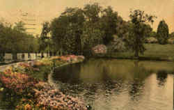 Middleton Place Gardens Postcard