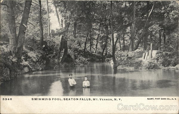 Swimming Pool, Seaton Falls Mount Vernon New York