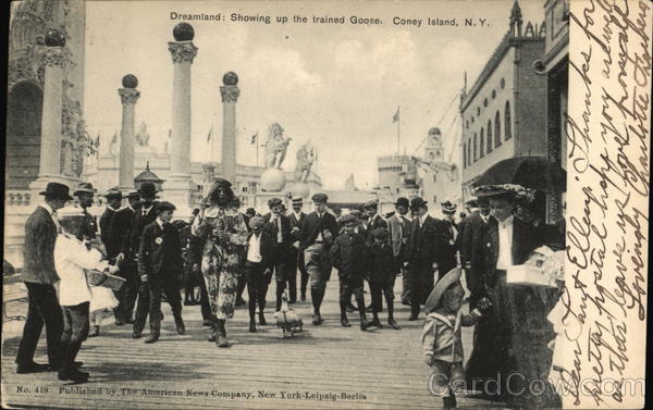 Dreamland: Showing up the Trained Goose Coney Island New York