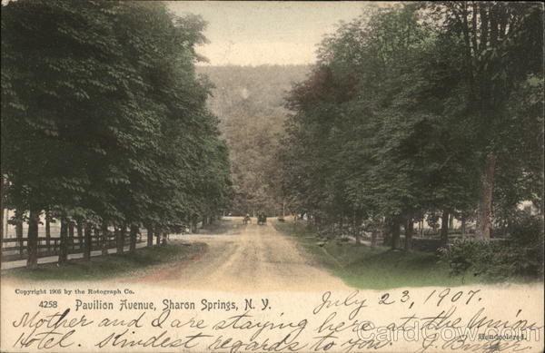 Pavilion Avenue sharon Springs New York