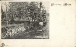 Lover's Lane Florence, MA Postcard Postcard Postcard