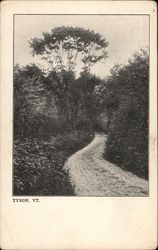 Road to Tyson Postcard