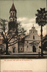 Old Cathedral, 250 Years Old St. Augustine, FL Postcard Postcard Postcard