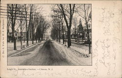 Leigh St., Residence Section Postcard