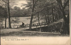 Scene in Bronx Park Postcard
