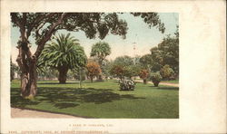 View of A Park View of A Park
