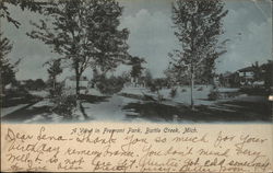 A View in Fremont Park Battle Creek, MI Postcard Postcard Postcard