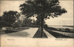 Park Point Keokuk, IA Postcard Postcard Postcard