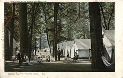 Camp Curry Postcard
