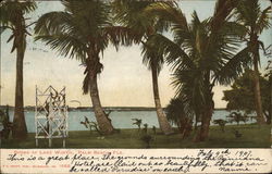 Shore of Lake Worth Palm Beach, FL Postcard Postcard Postcard