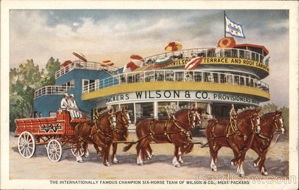 The Internationally Famous Champion Six-Horse Team of Wilson & Co. Chicago Illinois