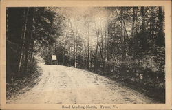 Road Leading South Postcard