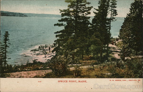 Spruce Point Maine