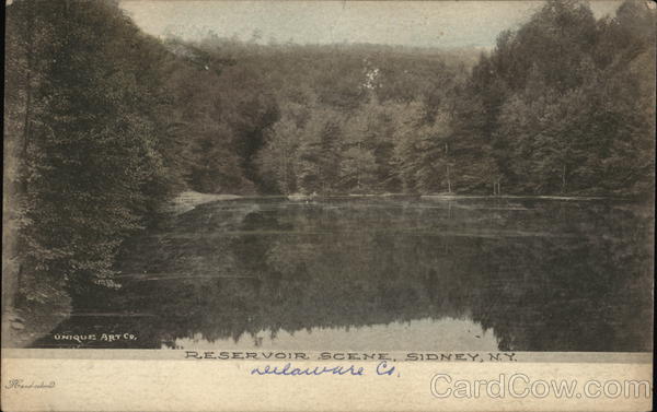 Reservoir Scene Sidney New York