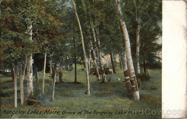 Grove at the Rangely Lake House Rangeley Maine