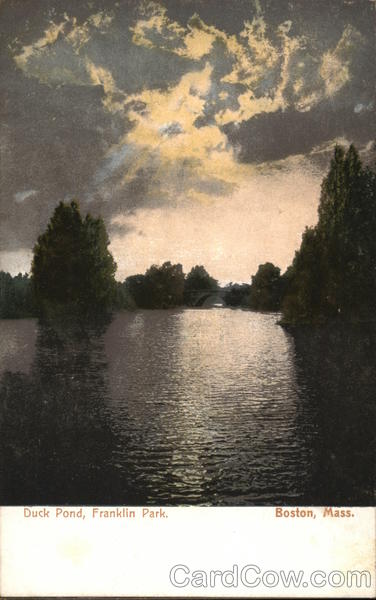 Duck Pond, Franklin Park Boston Massachusetts