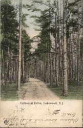 Cathedral Drive Postcard