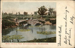 Bridge and Lily Pond, Washington Park Postcard