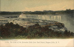 The Brind of the Horseshoe Falls from Goat Island The Brind of the Horseshoe Falls from Goat Island