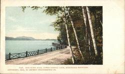 Pine Hurst Road, Adirondack Mountains Postcard