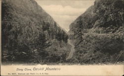 Stony Clove at Catskill Mountains Hunter, NY Postcard Postcard Postcard