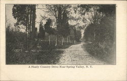 A Shady Drive Near Spring Valley New York Postcard Postcard Postcard