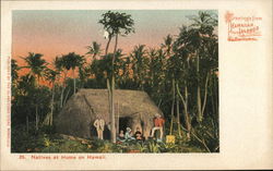 Natives at Home on Hawaii Postcard