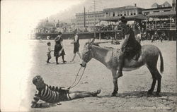 Couple and Donkey on the Beach Postcard
