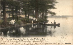 Chauncy Park From the Lake Postcard