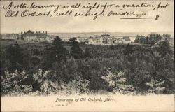Panorama of Old Orchard Postcard